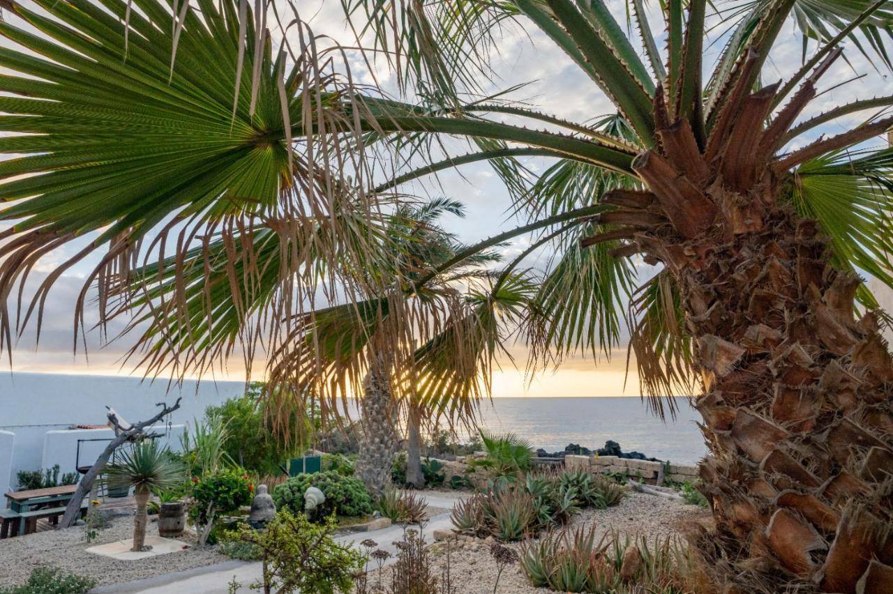 Little Paradise In El Medano グラナディージャ・デ・アボナ エクステリア 写真