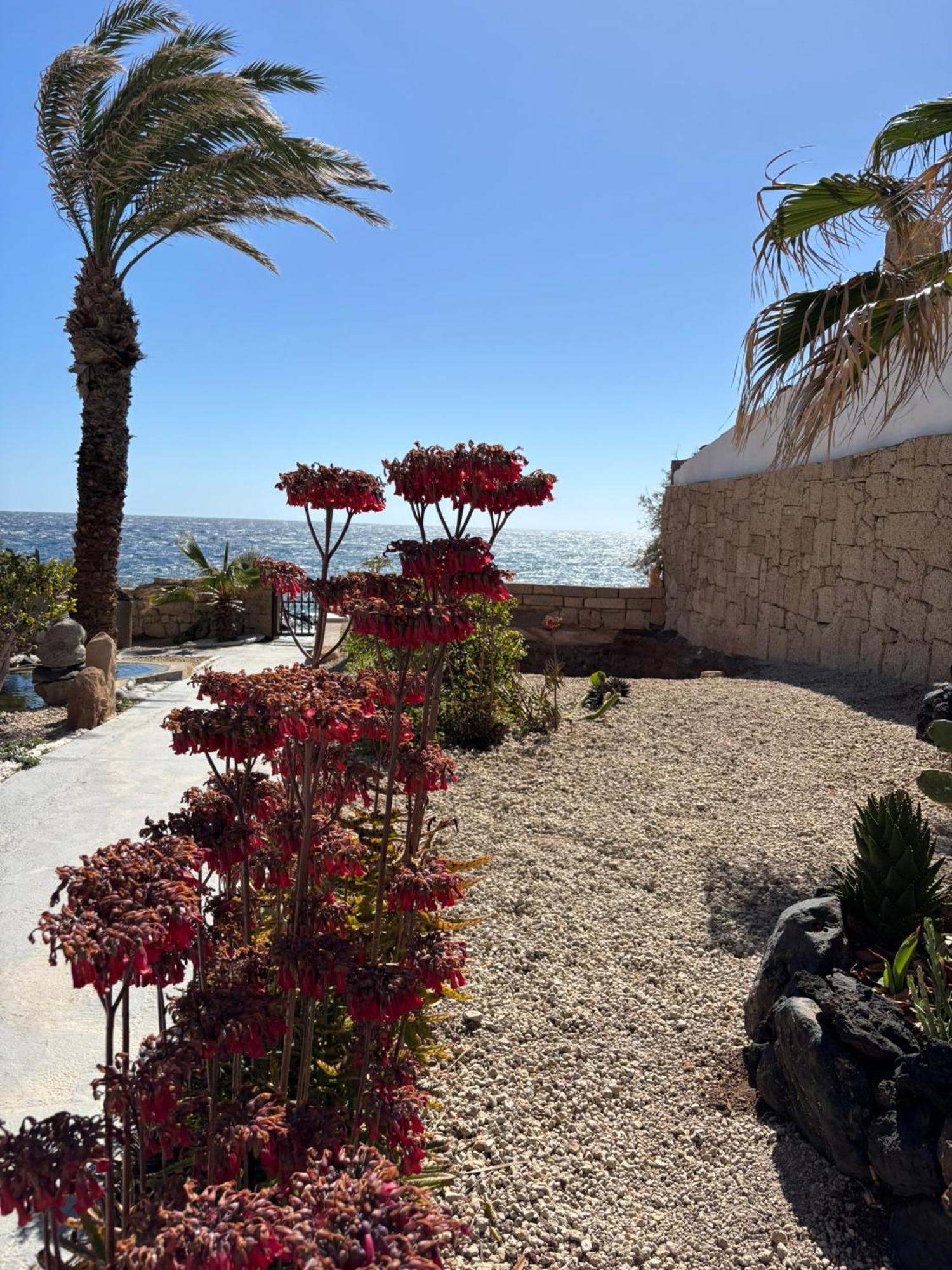 Little Paradise In El Medano グラナディージャ・デ・アボナ エクステリア 写真